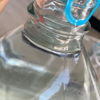 Cam Damacananın İçinde Yosunumsu Pislik Sorunu