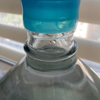 Cam Damacananın İçinde Yosunumsu Pislik Sorunu