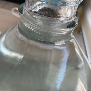 Cam Damacananın İçinde Yosunumsu Pislik Sorunu