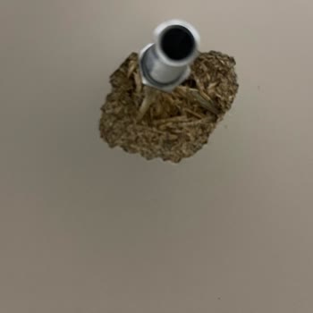 İFA Concept Teslimatta Gecikme