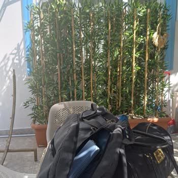 Kingway Suite durch ETS gebucht, keine Privatsphäre, keine echte Entschuldigung!