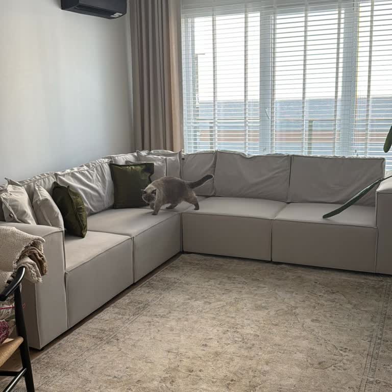 İletişim Sorunları Ve Eksik Ürün Teslimatı Nedeniyle Yaşanan Memnuniyetsizlik