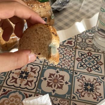 UNO Ekmeklerde Son Kullanma Tarihinden Önce Küflenme Ve Sağlık Riski