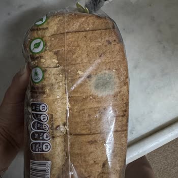 UNO Ekmeklerde Son Kullanma Tarihinden Önce Küflenme Ve Sağlık Riski
