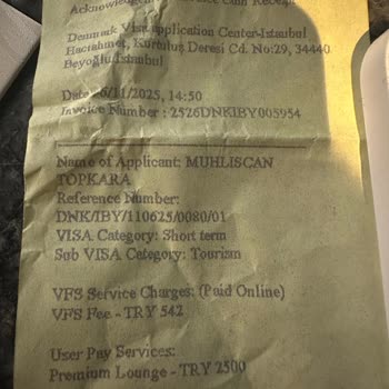 VFS Beyoğlu VIP Başvurusunda Geciken Danimarka Vizesi Sonucu