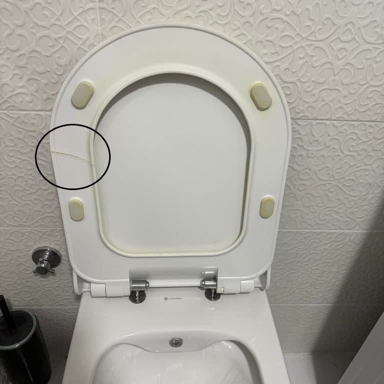 Seramiksan Klozet Kapağı Kısa Sürede İki Kez Kırıldı Çözüm Sunulmuyor