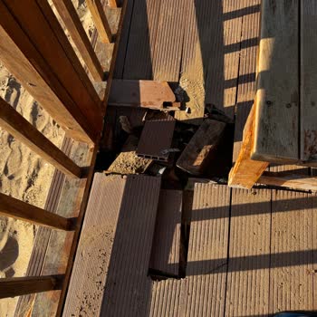 Burnaz Sahilindeki Bakımsız Kamelyalar Ve İlgisiz Personel Müşteri Memnuniyetsizliği