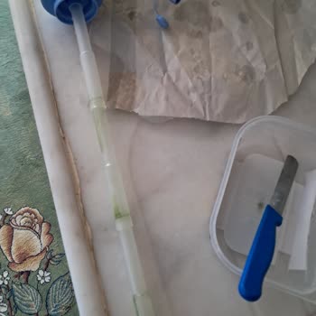 Kötü Tat Ve Kokuya Sahip Suya Karşı İlgisiz Müşteri Hizmeti