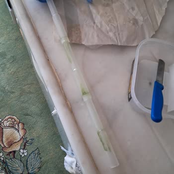 Kötü Tat Ve Kokuya Sahip Suya Karşı İlgisiz Müşteri Hizmeti