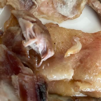 Bozuk Ve Kurtlanmış Tavuk Ürünü Satışı, Müşteri Hizmetlerine Ulaşılamıyor