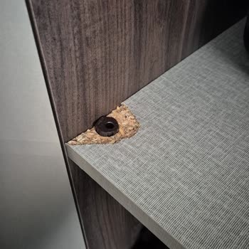 Aldığım Ürün Hasarlı Çıktı Servis 4 Aydır Gelmedi