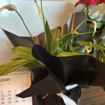 Görseldeki Çiçekle Gönderilen Ürün Farklı Ve Kalitesizdi