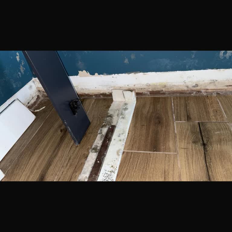 Beko Servisi Yüzünden Evimi Su Bastı Mağduriyetim Giderilmiyor