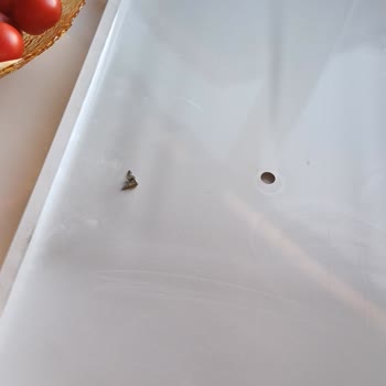 Alarko Servisi Çözüm Sunmadan Kaba Davranıp Yüksek Ücret Aldı