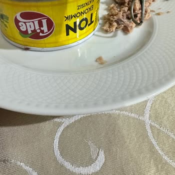 Fide Ton Balığında Kötü Koku Ve Şüpheli Görüntü