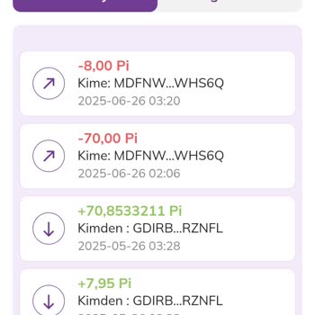 Pi Network Hesabımdan İzinsiz 80 Pi Transfer Edildi, Mağduriyetimin Giderilmesini İstiyorum