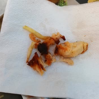 Yanık Tavuk Ve İlgisiz Hizmetle Param Çöpe Gitti