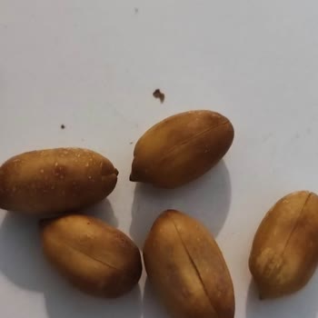 Online Siparişte Kalite Hayal Kırıklığı Yaşattı