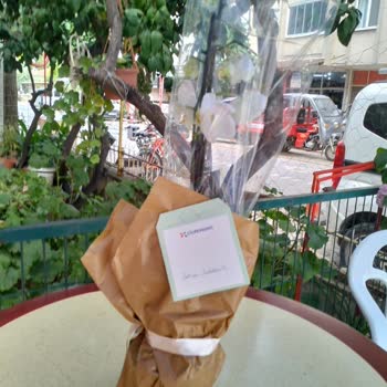 Solmuş Orkide Ve Sonuçsuz İade Talebi Hayal Kırıklığı Yarattı