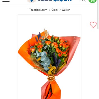 Görselle Uyuşmayan Ürün Ve İptal Talebinin Reddedilmesi