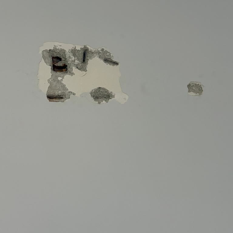 LG Klima Montajında Duvara Zarar Ve İlgisiz Servis Ekibi Mağduriyeti