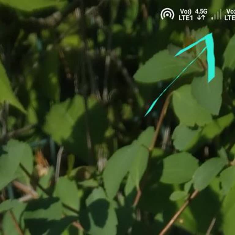 Turkcell'de Çekim Sorunu Ve Kapsama Alanı Problemi Yaşıyorum