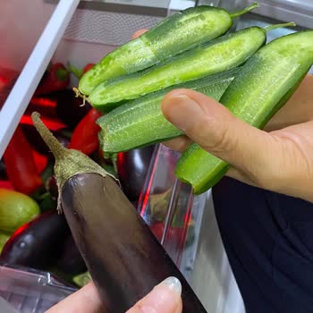 Yeni Alınan Buzdolabının Meyve Ve Sebzeleri Hızla Çürütmesi Ve Servis Sorunları