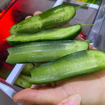 Yeni Alınan Buzdolabının Meyve Ve Sebzeleri Hızla Çürütmesi Ve Servis Sorunları