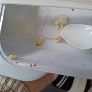 Qanot Sharq Uçak Yemeklerinde Hijyen ve Tazelik Sorunu: Aç Kaldık!