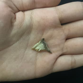 BİM Patito Cipsten Yabancı Cisim Çıktı