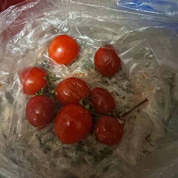 Ezilmiş Ürünler, Kırık Yumurtalar Ve İlgisiz Müşteri Desteğiyle Mağduriyet