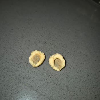 Aldığım Fındıklar Küflü Çıktı, İade Talep Ediyorum