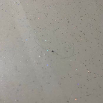 Temizlik Sorunu Ve Ücret İadesi Yapılmayan Konaklama Deneyimi
