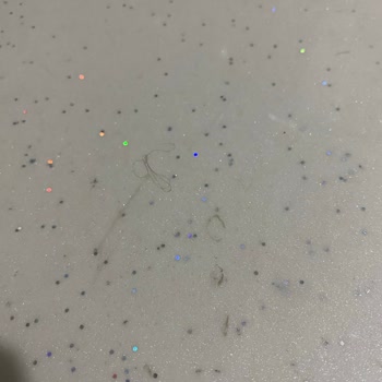 Temizlik Sorunu Ve Ücret İadesi Yapılmayan Konaklama Deneyimi