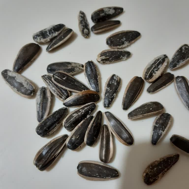 Çitlekçi Çekirdekte Aşırı Tuz Ve İlgisizlik Sorunu