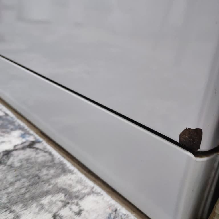 Vestel Bulaşık Makinesi Kendi Kendine Arızalandı Ve Çürümeye Başladı