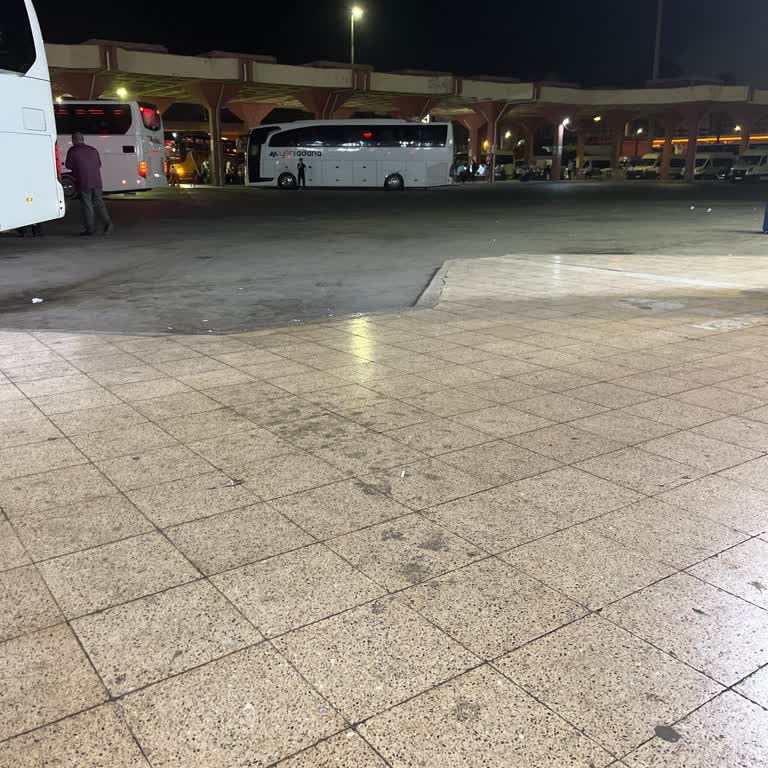 As Adana Seyahat Firmasında Yaşanan Gecikme ve Bilgilendirme Sorunu