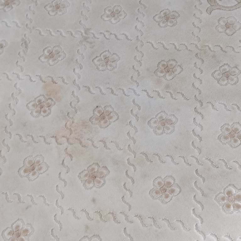 Emsalsiz Halı Yıkama Halılarımı Yıkamadan Getirdi