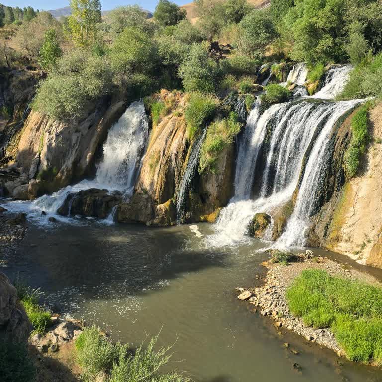Muradiye Şelalesi'nde Yabancı Plakalı Araçlara Yüksek Park Ücreti Şaşkınlığı