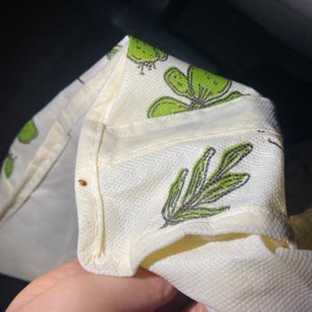 Samsun Bafra Otobüsünde Tahtakurusu Ve İlgisiz Personel Sorunu