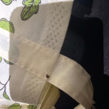 Samsun Bafra Otobüsünde Tahtakurusu Ve İlgisiz Personel Sorunu