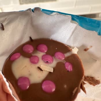 Dondurma Ambalajında Böcek Ve Hijyen Sorunu: Sağlık Riski Ve Önlem Talebi