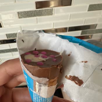 Dondurma Ambalajında Böcek Ve Hijyen Sorunu: Sağlık Riski Ve Önlem Talebi