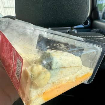 Dardanel Tarihi Geçmemiş Sandviçten Küf Çıktı, İade Ve Özür Talebi!