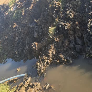 Horoz Mahallesi'nde Tehlikeli Su Kanalı Çocuklarımızı Tehdit Ediyor