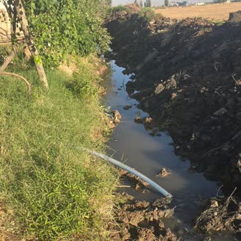 Horoz Mahallesi'nde Tehlikeli Su Kanalı Çocuklarımızı Tehdit Ediyor