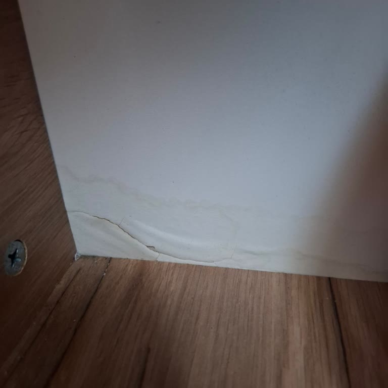 Tesir Ürün Gönderimi Ve İlgisizlik Nedeniyle Mağduriyet