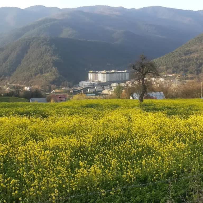 Devremülk Teslimatında Yıllarca Gecikme Ve Ekstra Ücret Şoku