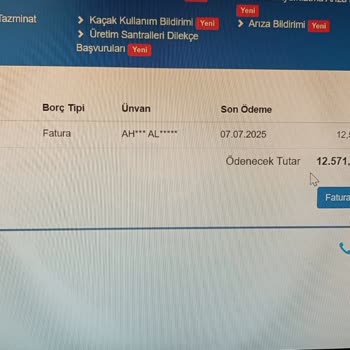 Tekrarlanan Kaçak Elektrik Suçlamaları Nedeniyle Mağduriyet Yaşıyorum