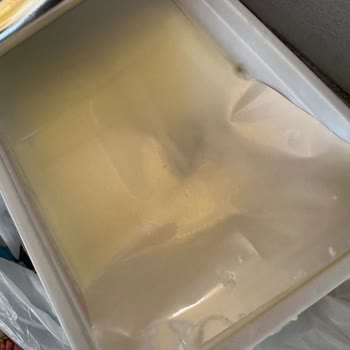 Son Kullanma Tarihli Peynirde Küf Ve Kötü Koku Şoku